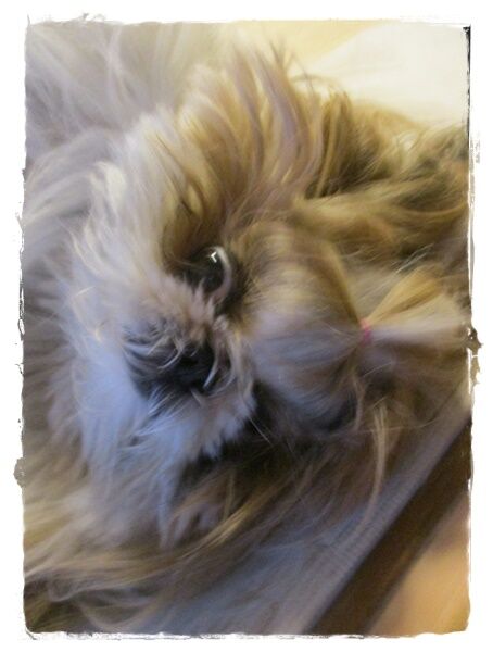 1回限りで…💦