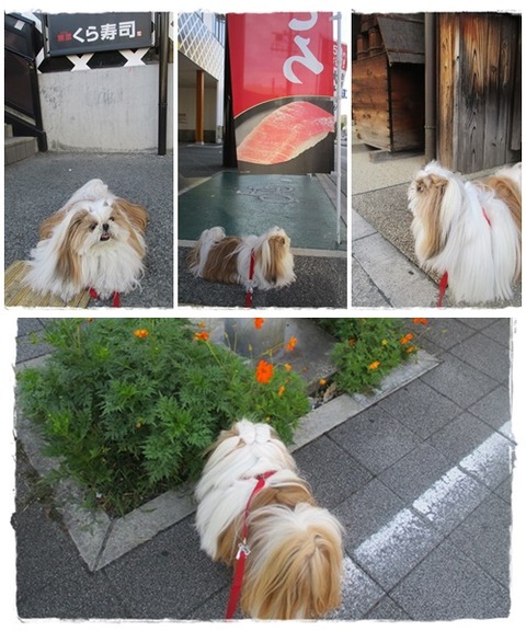 catsユニ６／２９