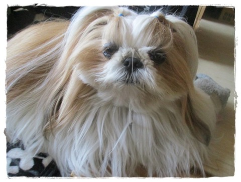 一攫千金を狙って(;^ω^)