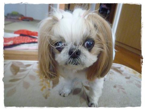 お薬＆イチゴ。