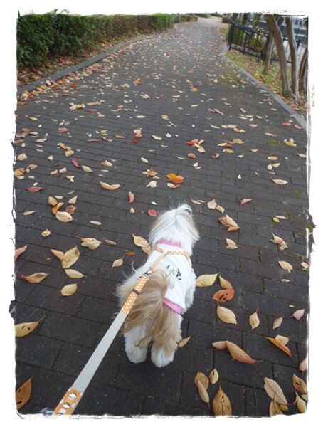 チョットだけ(*^^*)