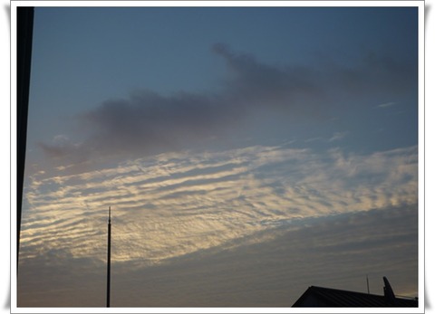 気のせい、、だったのかな～?