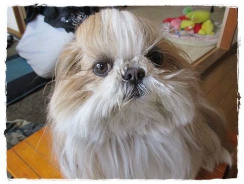 お風呂が嫌いな理由は…