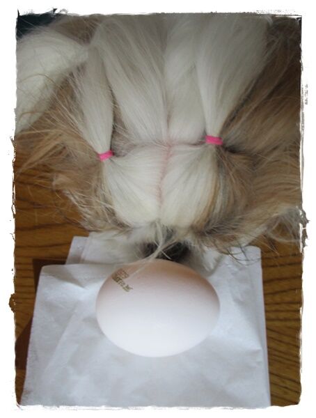 玉子にも( ﾟДﾟ)