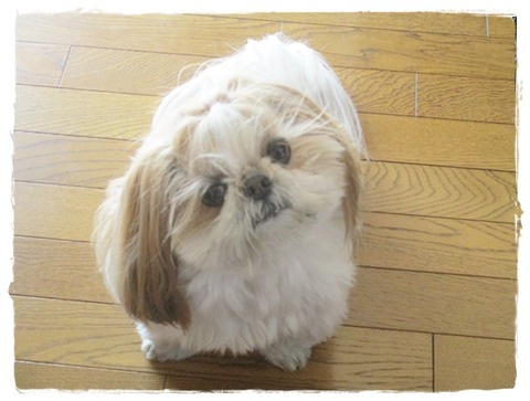 病院の帰りに。