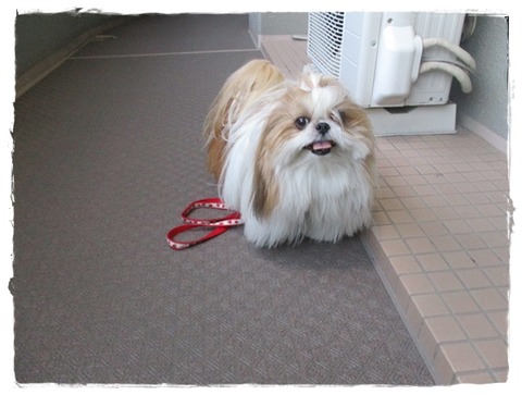 不審者と思われたのかな?