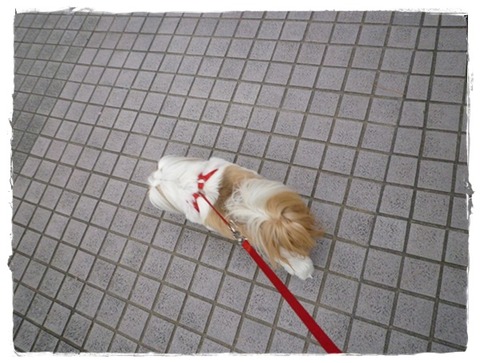 アタチのお陰かも( ´,_ゝ｀)ﾌﾟｯ