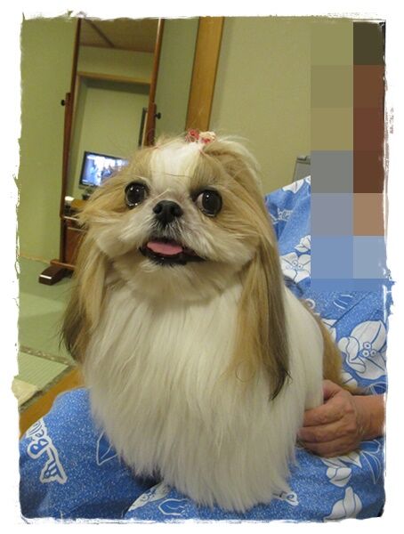 誕生日旅行(10月13日和歌山その1)