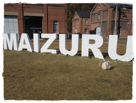 旅行最終日(舞鶴赤れんがパーク)