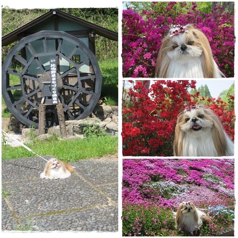 catsユニへそ公園