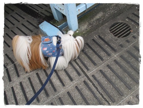 一日半ぶりにスッキリ～(*^▽^*)