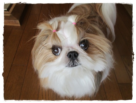 かぁたんはヘトヘト!