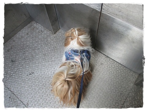 スッキリ～(^O^)