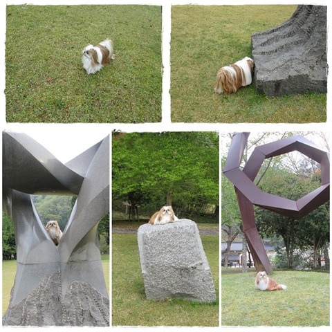 catsフォレストユニ