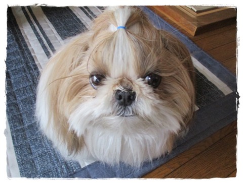 仙台から追加で(^^♪