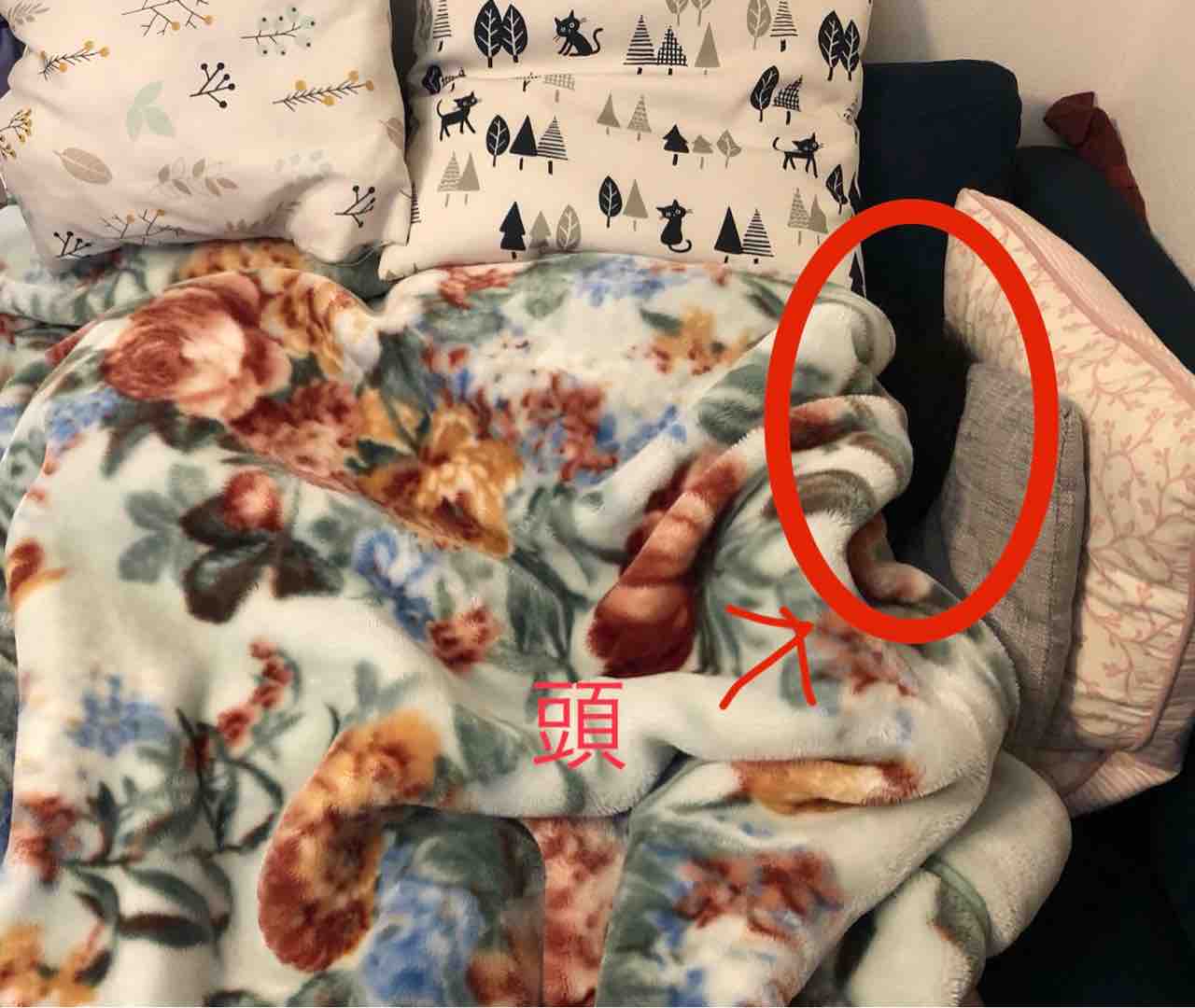 中学生の娘の生理痛 40代女性の引きこもりオタク気味な日々 中学生の娘の生理痛 40代女性の引きこもりオタク気味な日々