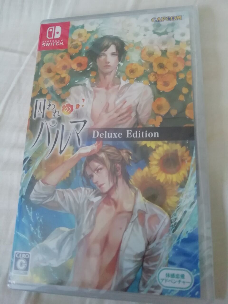 囚われのパルマ 感想 Switch 乙女ゲー感想ブログ 囚われのパルマ 感想 Switch 乙女ゲー感想ブログ
