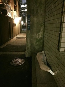 1_1