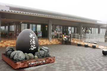 838afe01.jpg