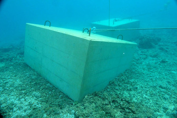 922fc893.jpg
