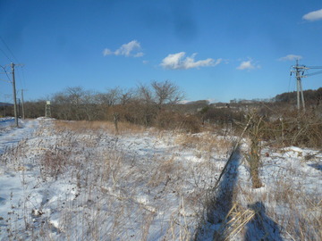 aaa94430.jpg