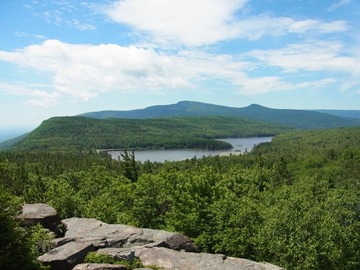 d13463f8.jpg