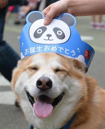 1_6