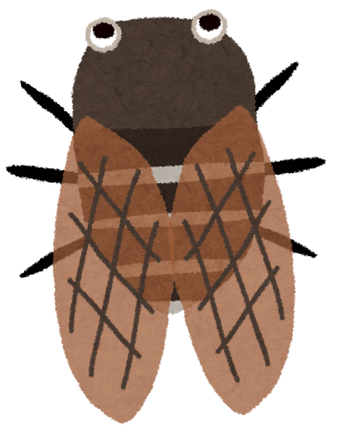 さっぱりピーマン