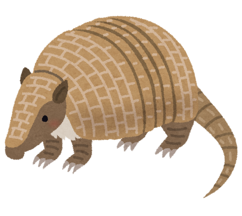 animal_armadillo