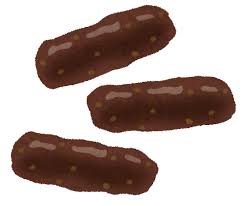 彡 ゚ ゚ お かりんとう落ちとるやんけ 食ったろ さっぱりピーマン 彡 ゚ ゚ お かりんとう落ちとるやんけ 食ったろ さっぱりピーマン