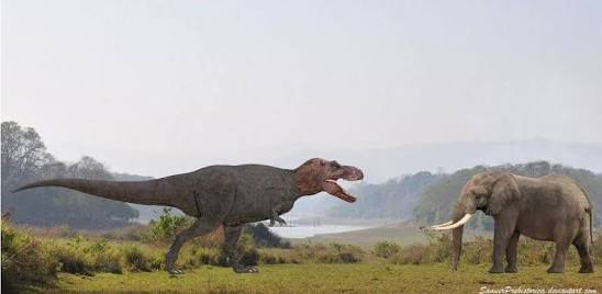 ティラノサウルス ワイは最強の恐竜やぞ 象さん シュバババ さっぱりピーマン ティラノサウルス ワイは最強の恐竜やぞ 象さん シュバババ さっぱりピーマン