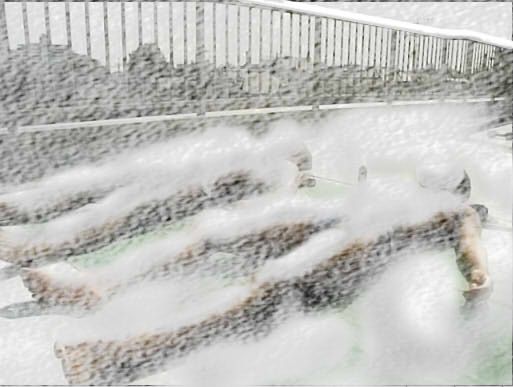 大雪先輩 すっげぇ白くなってる はっきりわかんだね さっぱりピーマン