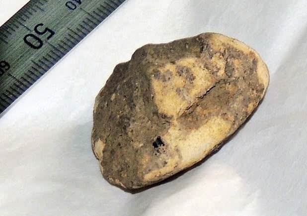 朗報 野獣先輩 出土される さっぱりピーマン