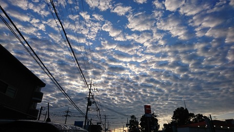 DSC_2923