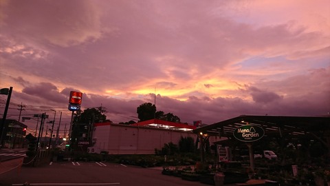 DSC_4519