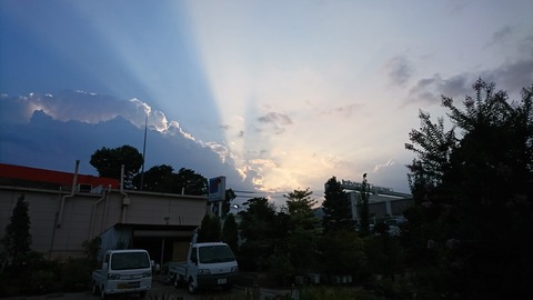 DSC_4516