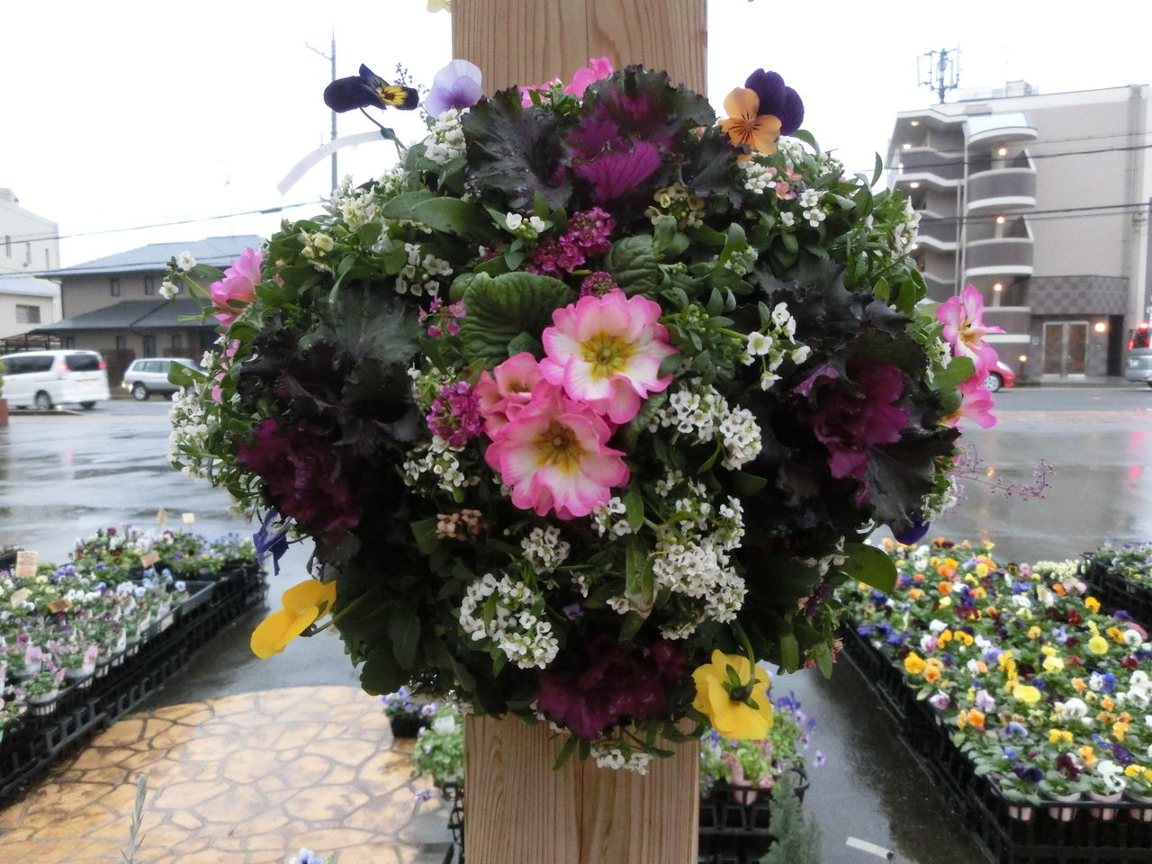 １２月２６日 寄せ植え ギャザリング モナガーデン 中西園芸のblog