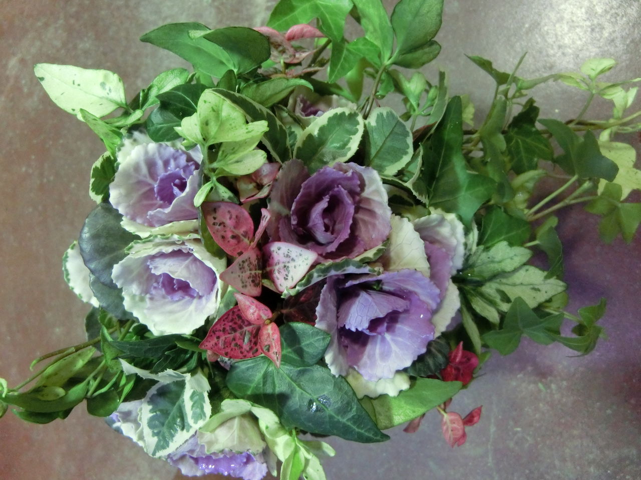 12月日 寄せ植え ギャザリング モナガーデン 中西園芸のblog 12月日 寄せ植え ギャザリング モナガーデン 中西園芸のblog