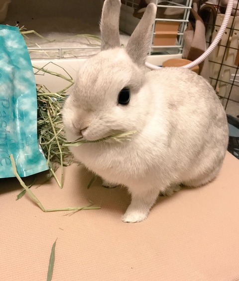 ちゃんと書かなきゃ〜