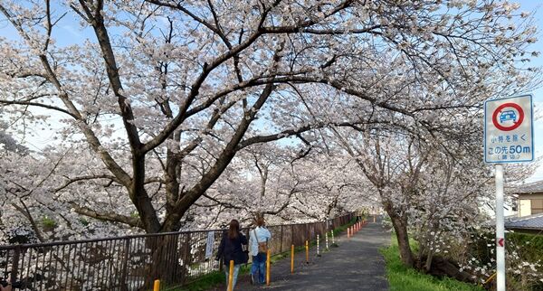 230327chiba331