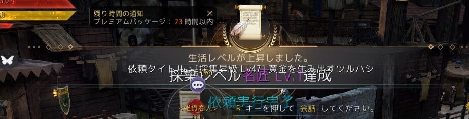黒い砂漠 採集名匠1到達 Scribble Complex