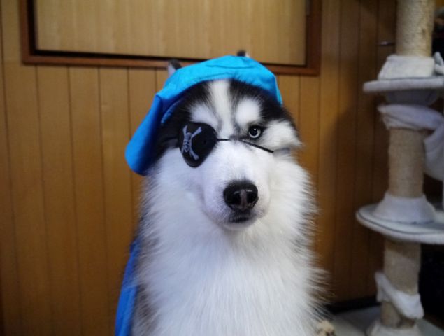 じゅうがつじゅういちにち ちょびっとブログ じゅうがつじゅういちにち ちょびっとブログ