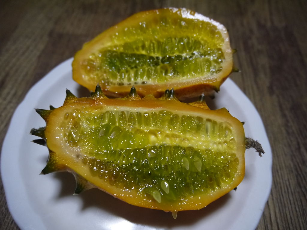 かていさいえん キワーノ ちょびっとブログ かていさいえん キワーノ ちょびっとブログ