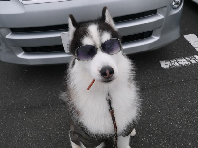 イベント ちょびっとブログ イベント ちょびっとブログ