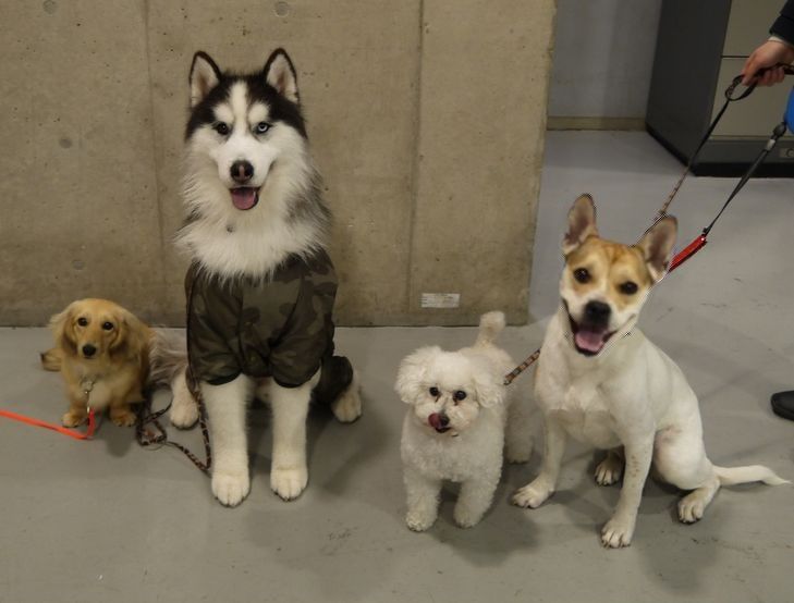 イベント ちょびっとブログ イベント ちょびっとブログ