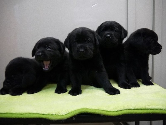 5人2