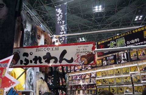 ドッグショー続き16