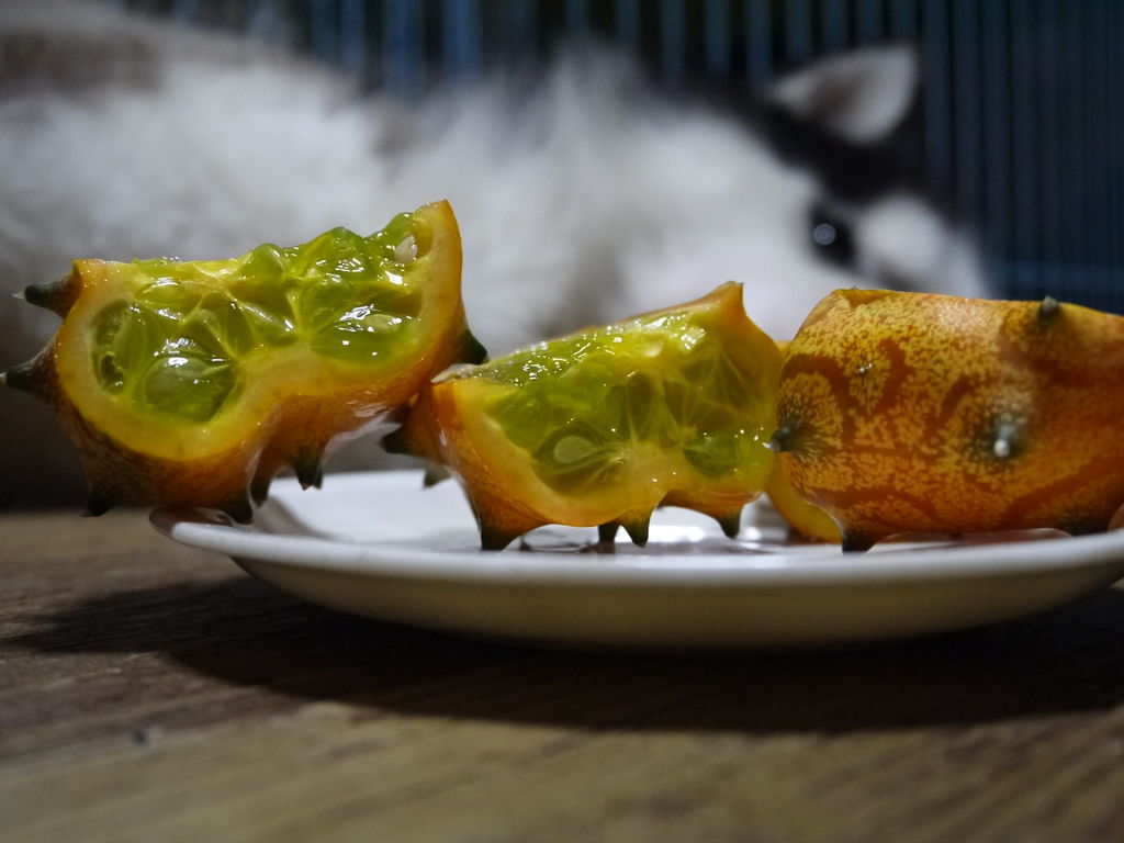 かていさいえん キワーノ ちょびっとブログ