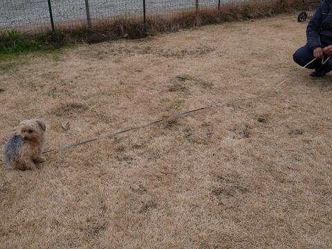 P1150249