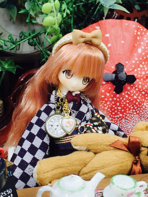 orange_pekoe_3_2020_8_31_IMG_5380